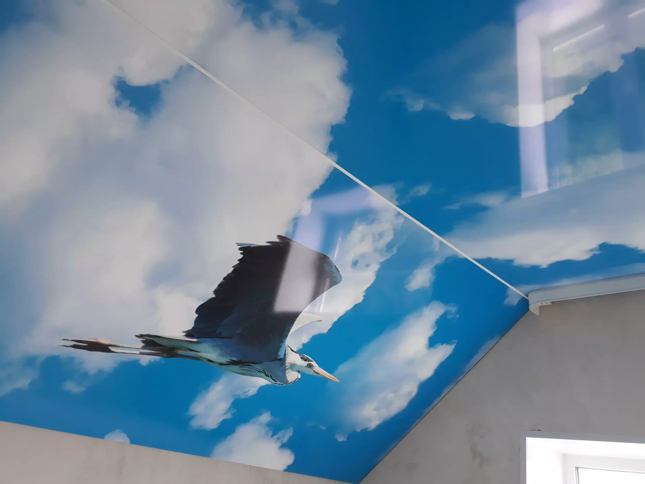 Люберцы, Юбилейная, 14а, фото 1