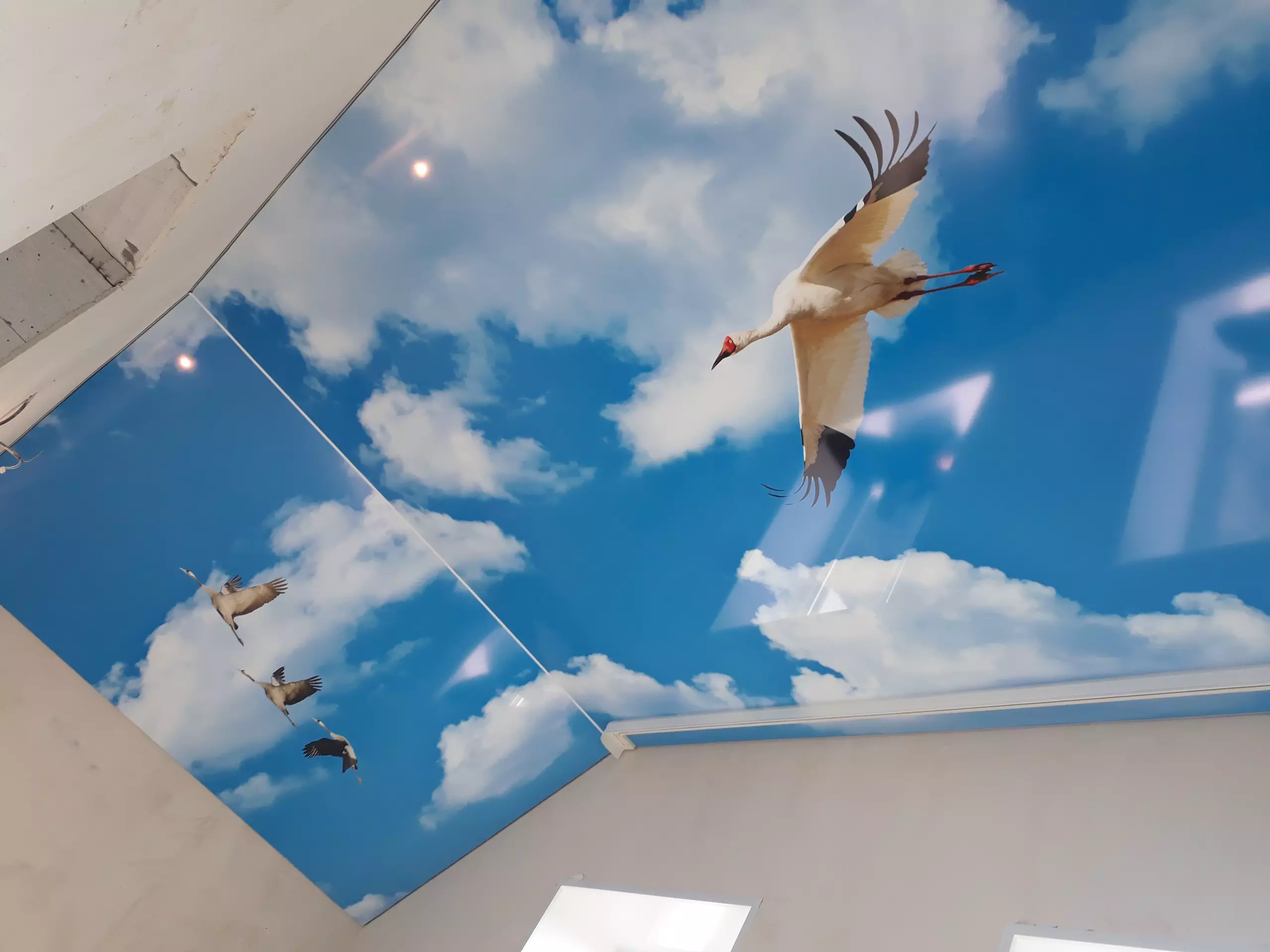 Люберцы, Юбилейная, 14а, фото 2