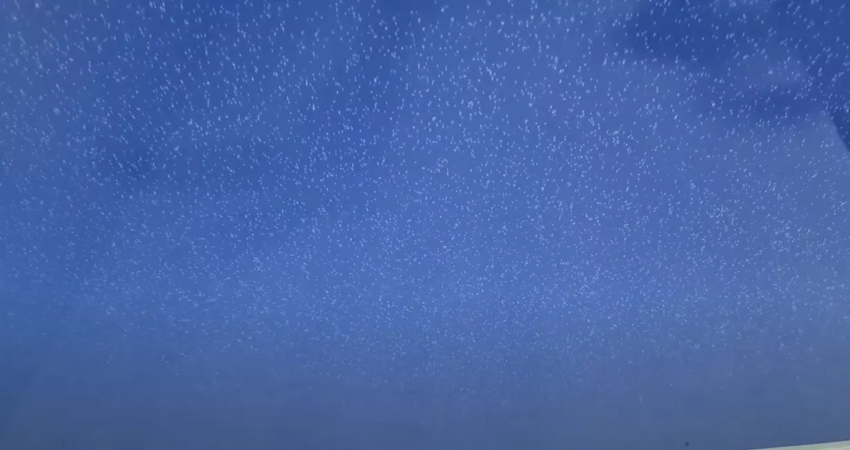 Благовещенск, Зейская, 193, фото 3