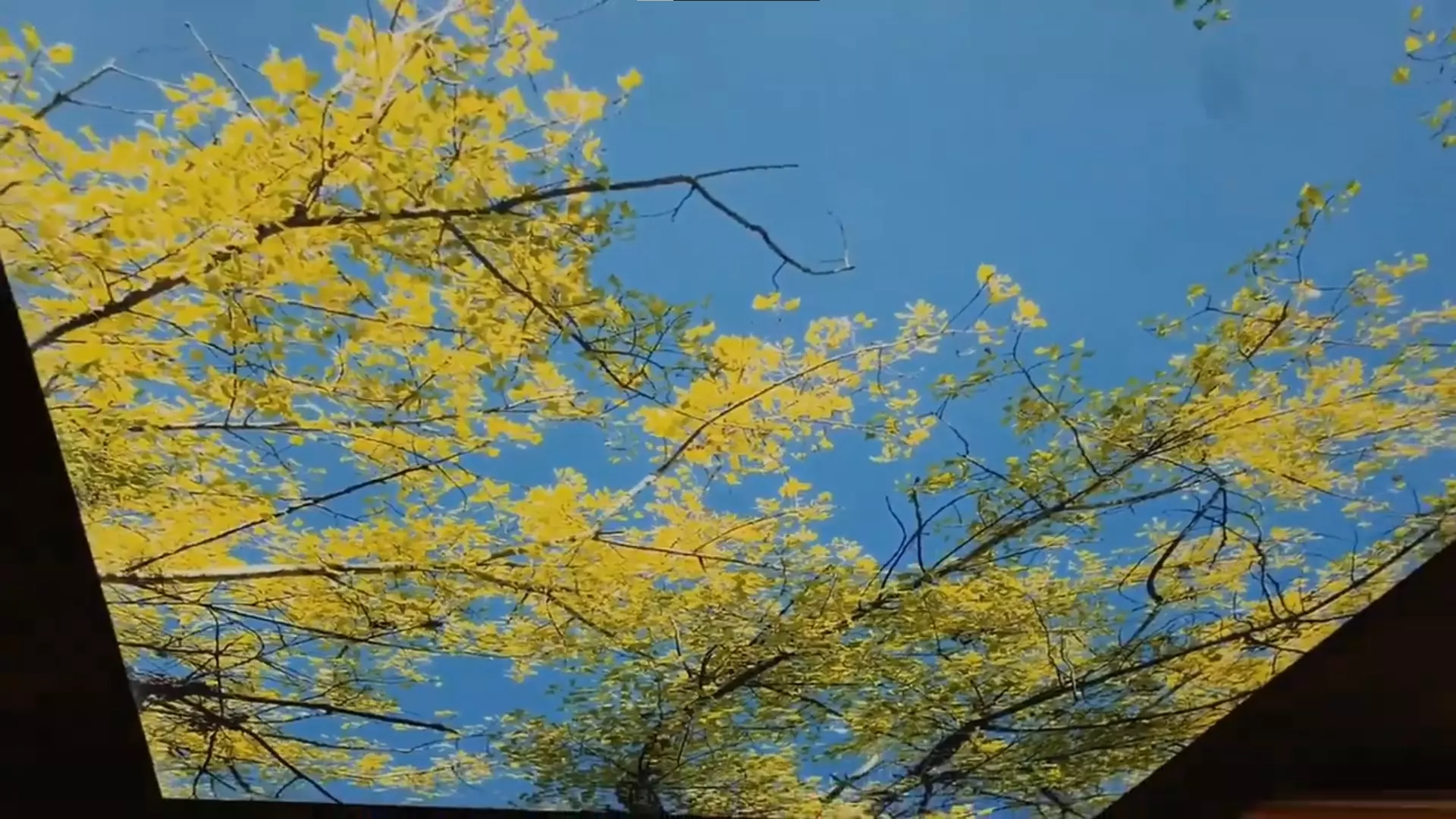 Ессентуки, , фото 2